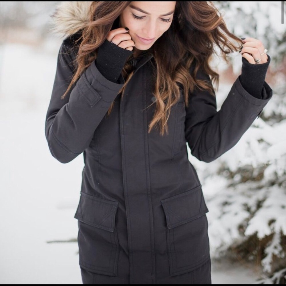 Aritzia TNA Bancroft Parka